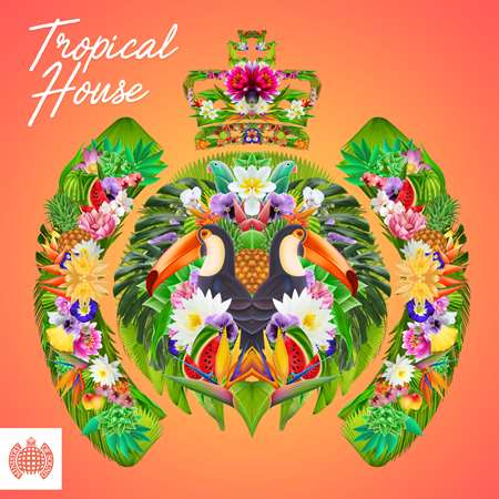 tropical-house-compilation-by-ministry-of-sound.jpg