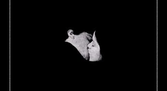 Bob Moses - Days Gone By (Never Enough Edition)