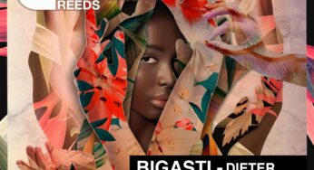 Bigasti - Dieter EP