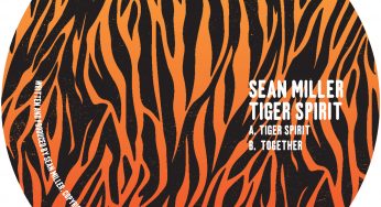 Sean Miller - Tiger Spirit