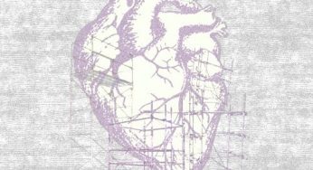 Living Dead Girl - A False Architect