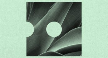 Robbie Rivera - Organic