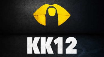 Various Artists - Kittball Konspiracy Volume 12