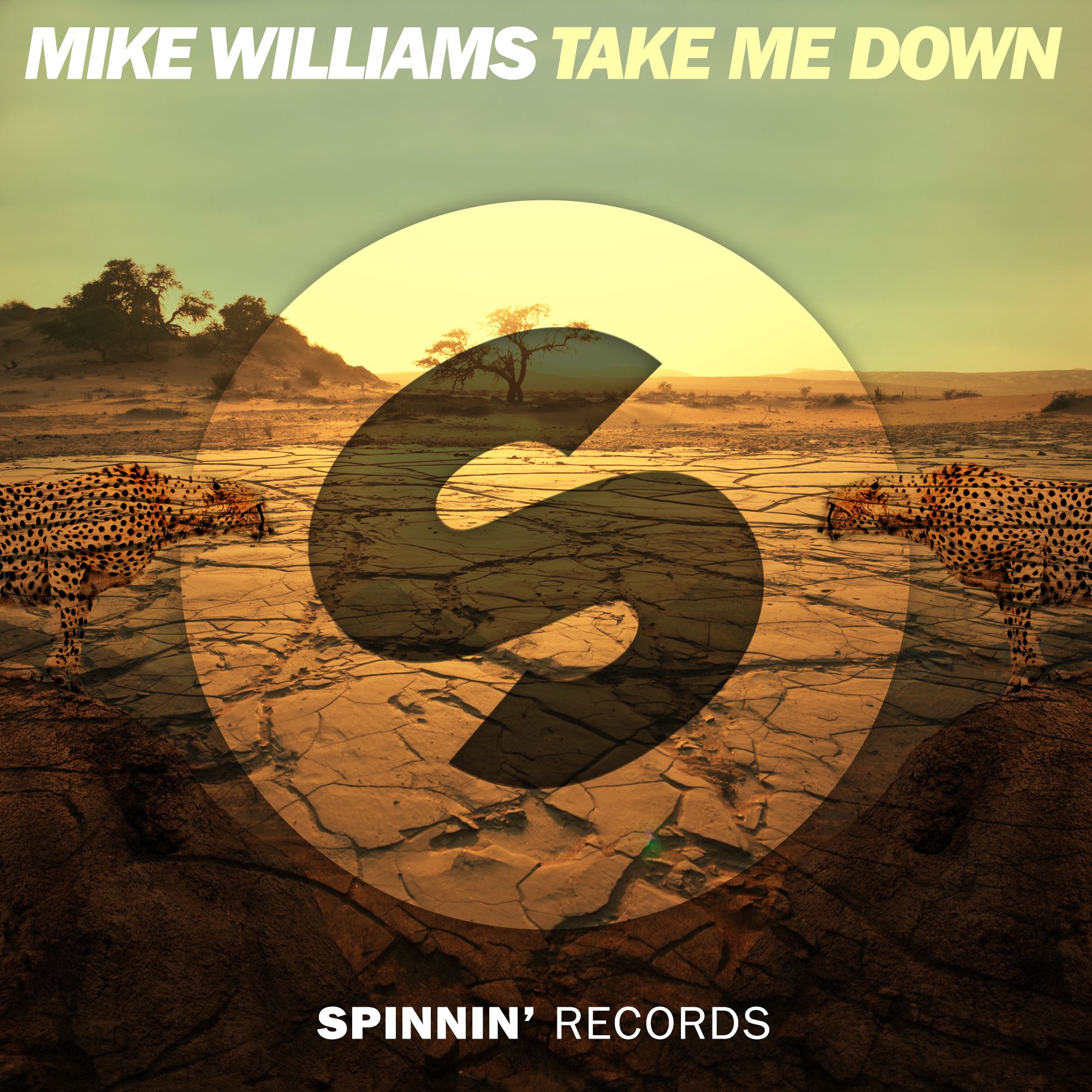 spinnin_mike_williams_-_take_me_down.jpg