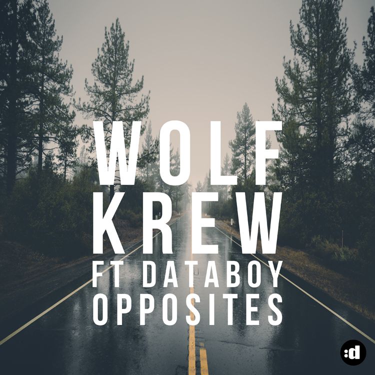 wolf_krew_ft_databoy_-_opposites_750.jpg