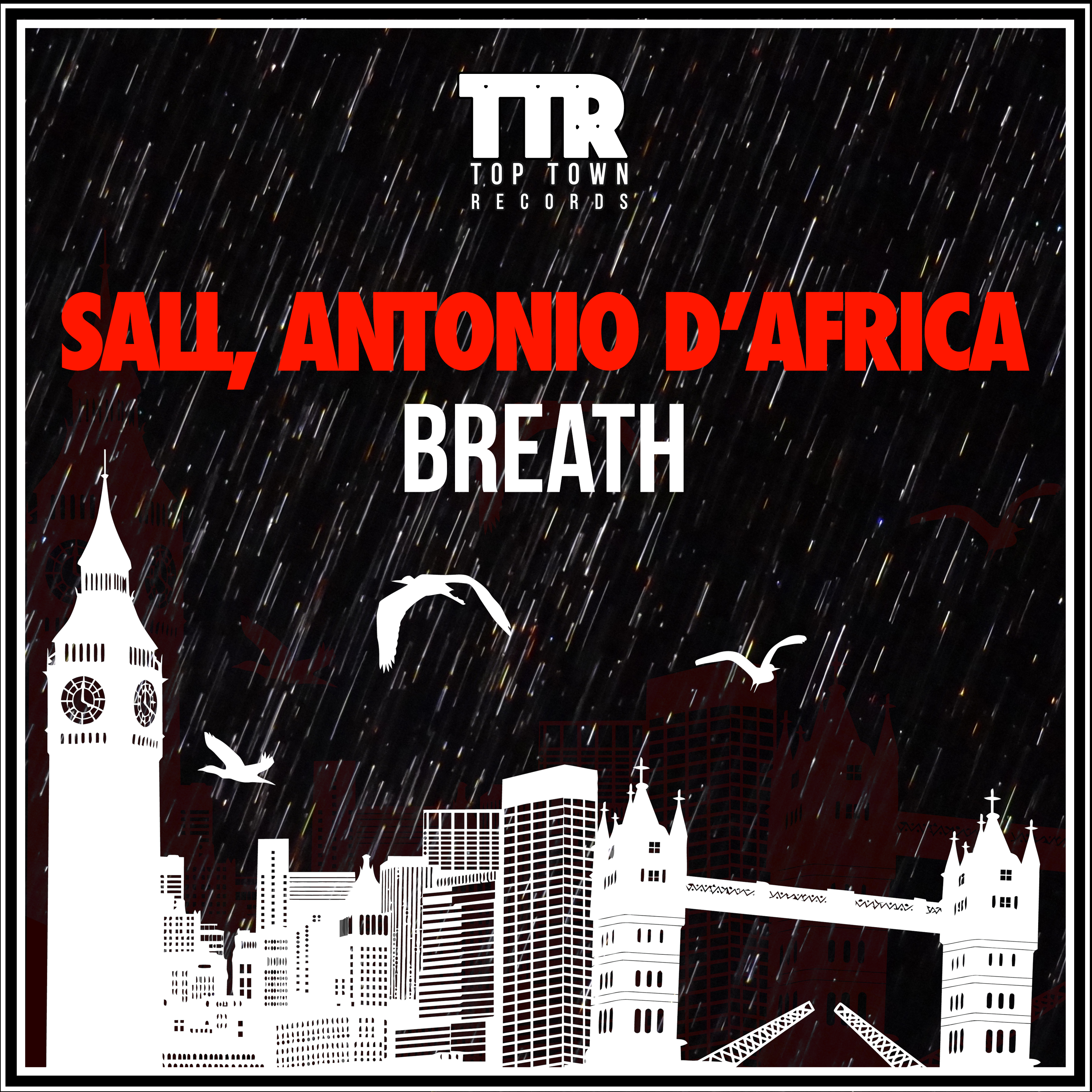 1artwork-sall-antonio-dafrica.jpg