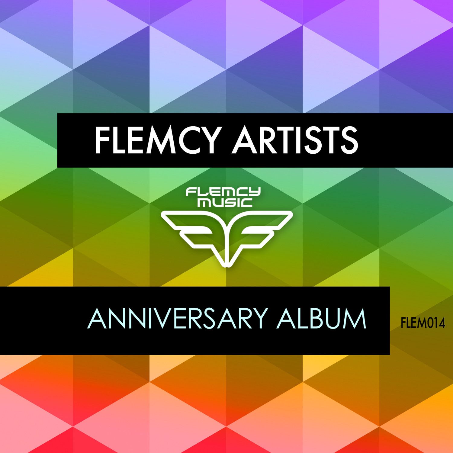 flemcy_music_-_the_anniversary_album.jpg