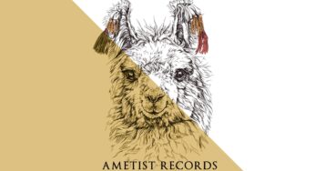 Die Vogelperspektive - Flying Lamas