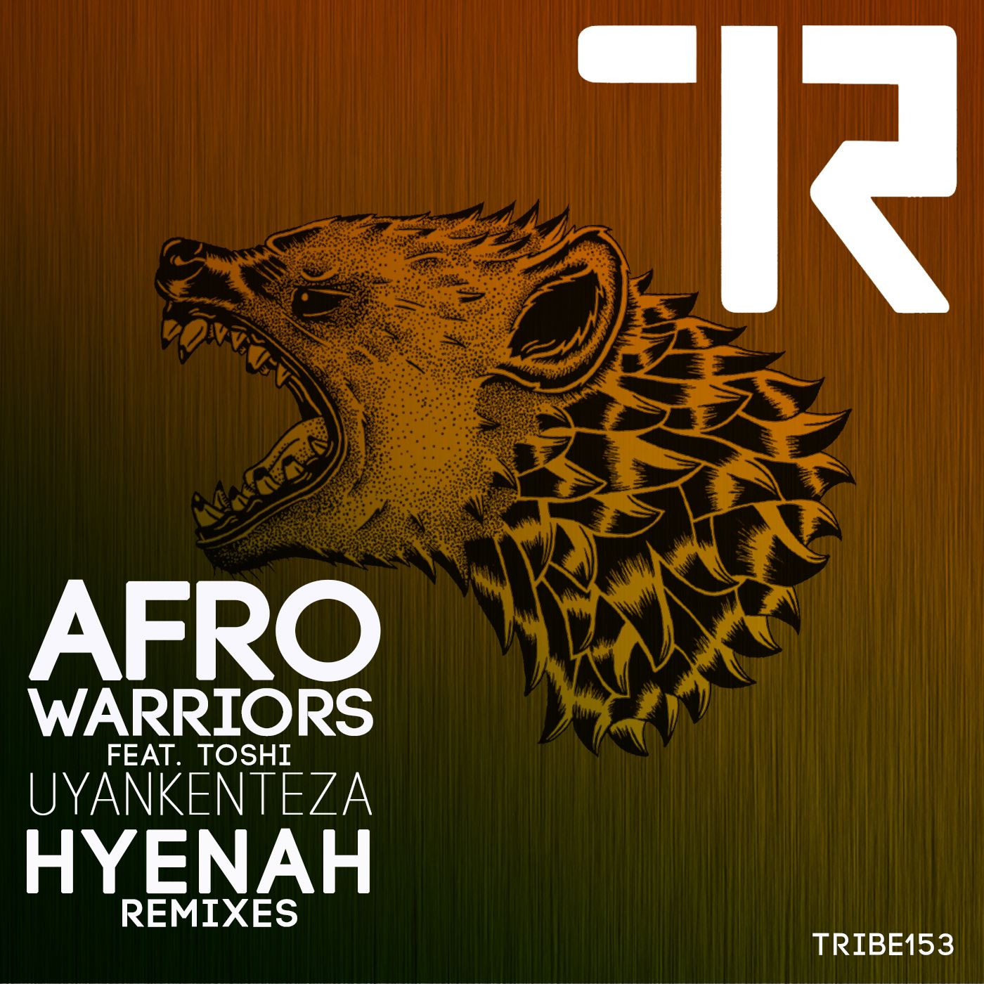 packshot_-_afro_warriors_153_remixes_cover.jpg