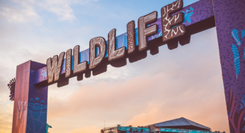 Wildlife Festival announces yet more acts!