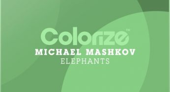 Michael Mashkov - Elephants