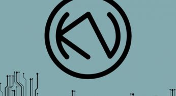 Knarly Knob - Abacus