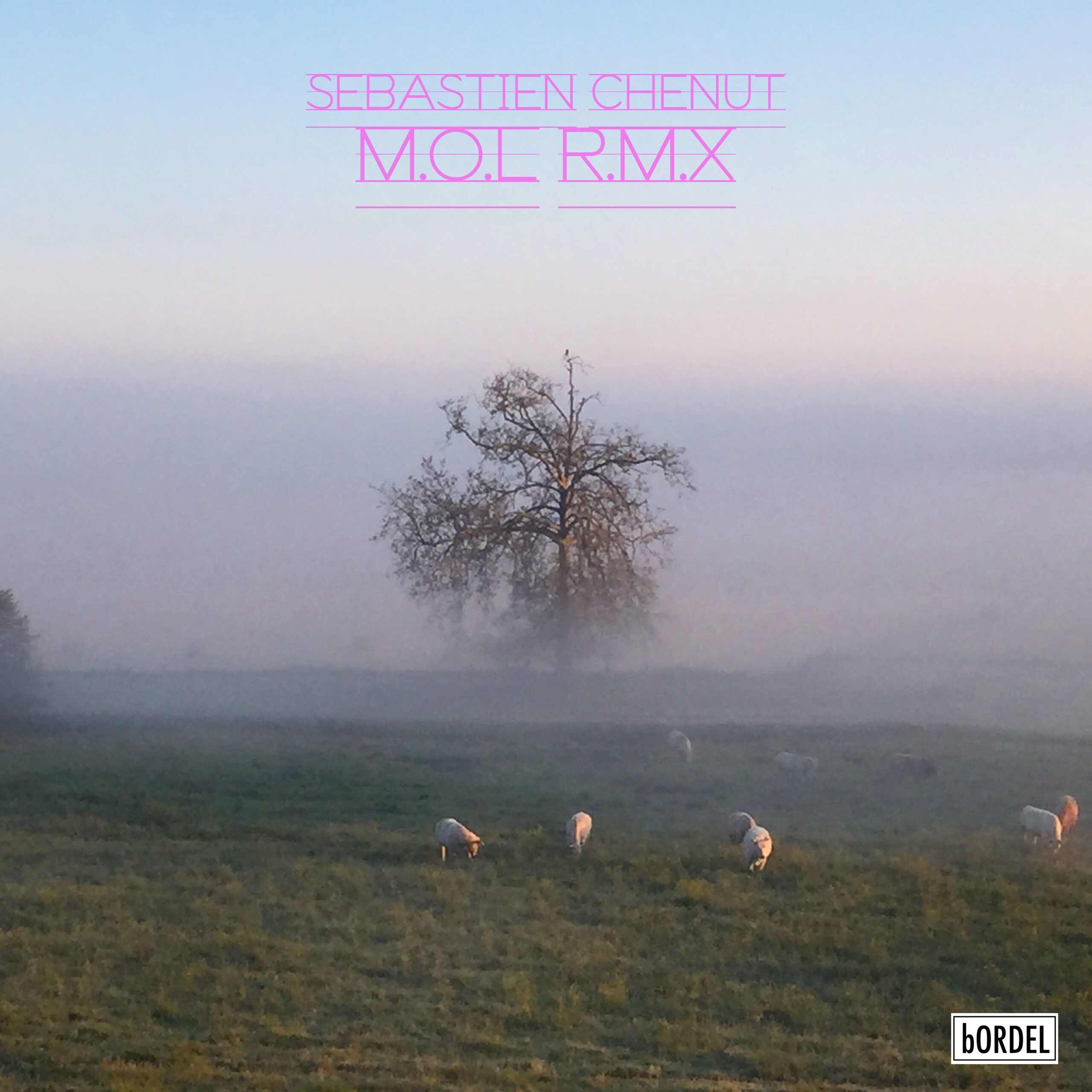 sebastien_chenut_mol_rmx_artwork.jpg