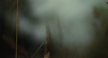 HOSH - Stories From Sa Talaia: Chapter 1