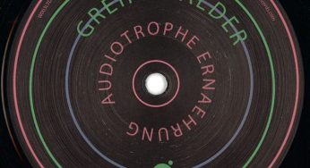 Audiotrophe Ernaehrung - Greifswalder