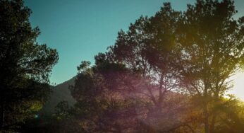 HOSH - Stories From Sa Talaia
