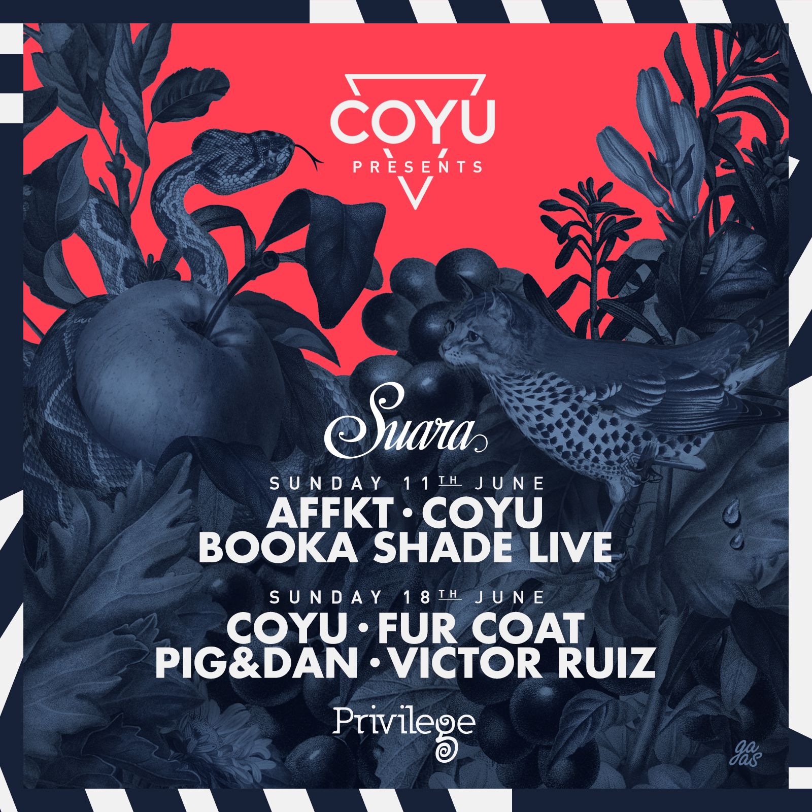 suara_ibiza2017_weeks_1600x1600.jpg