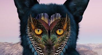 Galantis - True Feeling