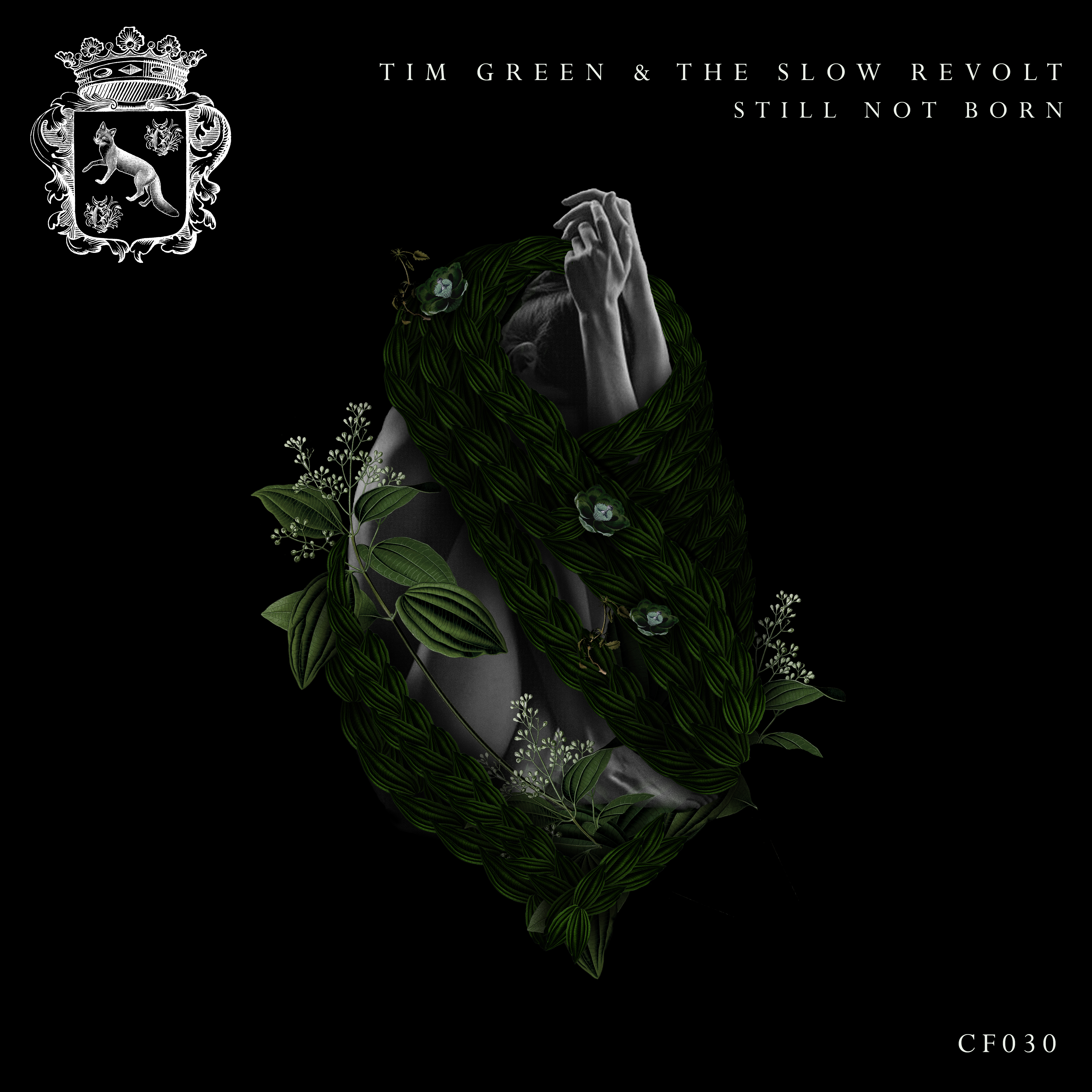 tim_green_the_slow_revolt_-_still_not_born_cityfox_artwork.jpg