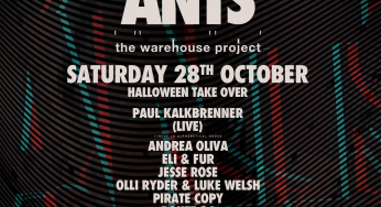 ANTS confirm for Warehouse Project takeover for Halloween