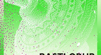 Basti Grub - Essence