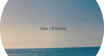 Ulex - Entrada