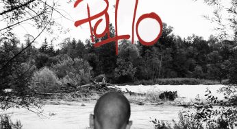 Paflo - Dealing With Diaries
