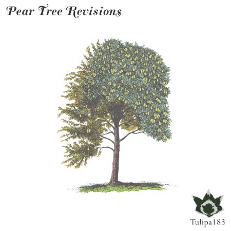 pear_tree_revisions_email.jpg