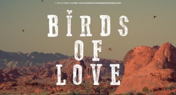 Monn - Birds Of Love