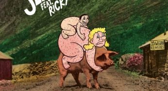 Monter Sur Le Cochon Norvégien N'est Pas Facile - The Norwegian Remixes