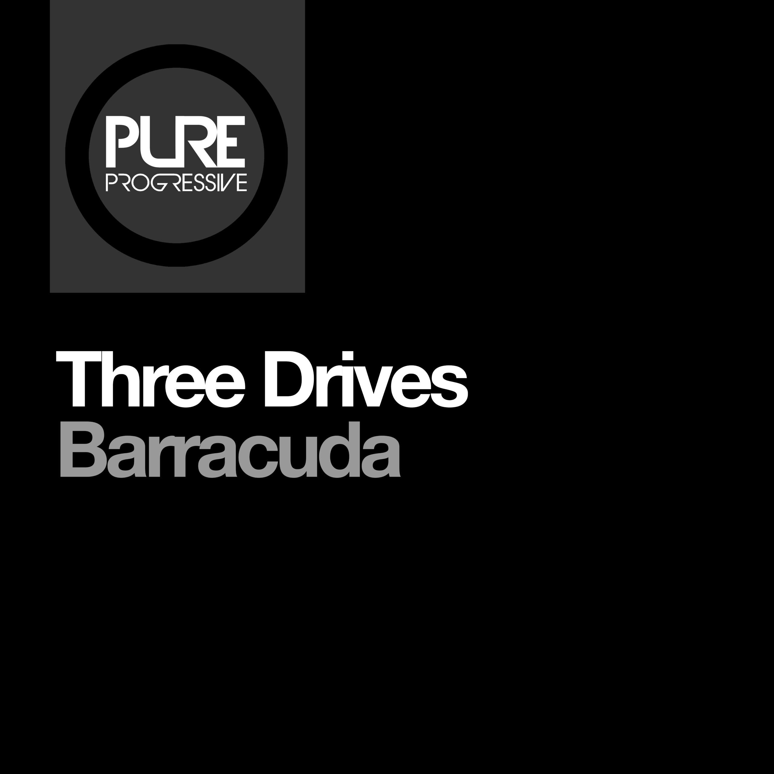 ptp035_three_drives_-_barracuda-1.jpg
