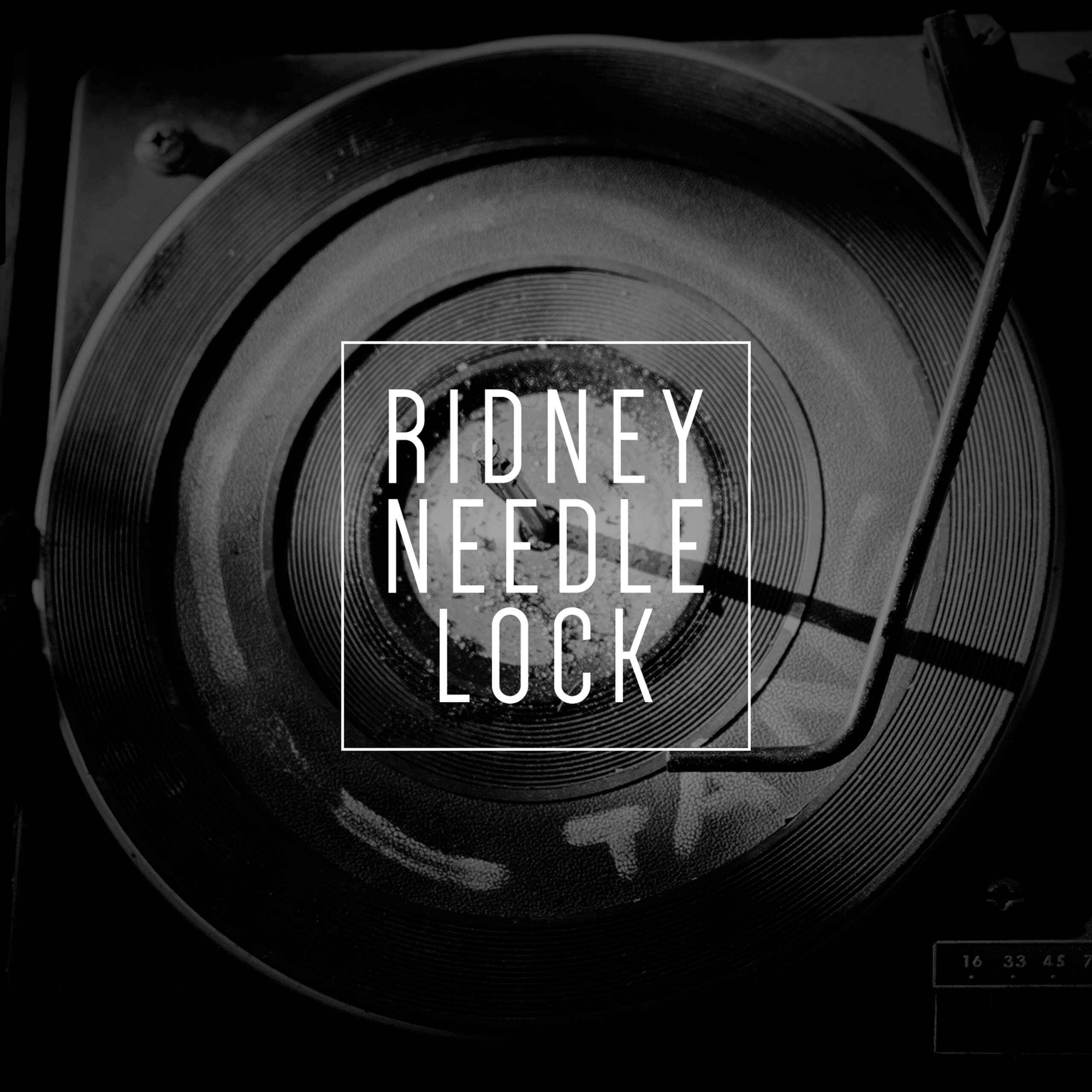 ridney-needlelock-3000.jpg