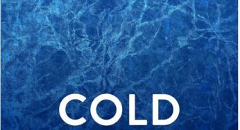 Roman Zayats - Cold
