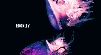 Rookley - Weak Or Absent Signal