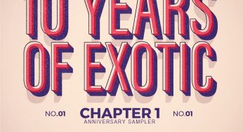 Various Artists - 10 Years of Exotic – Chapter 1