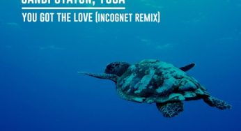 Candi Staton, Yuga - You Got The Love (Incognet Remix)