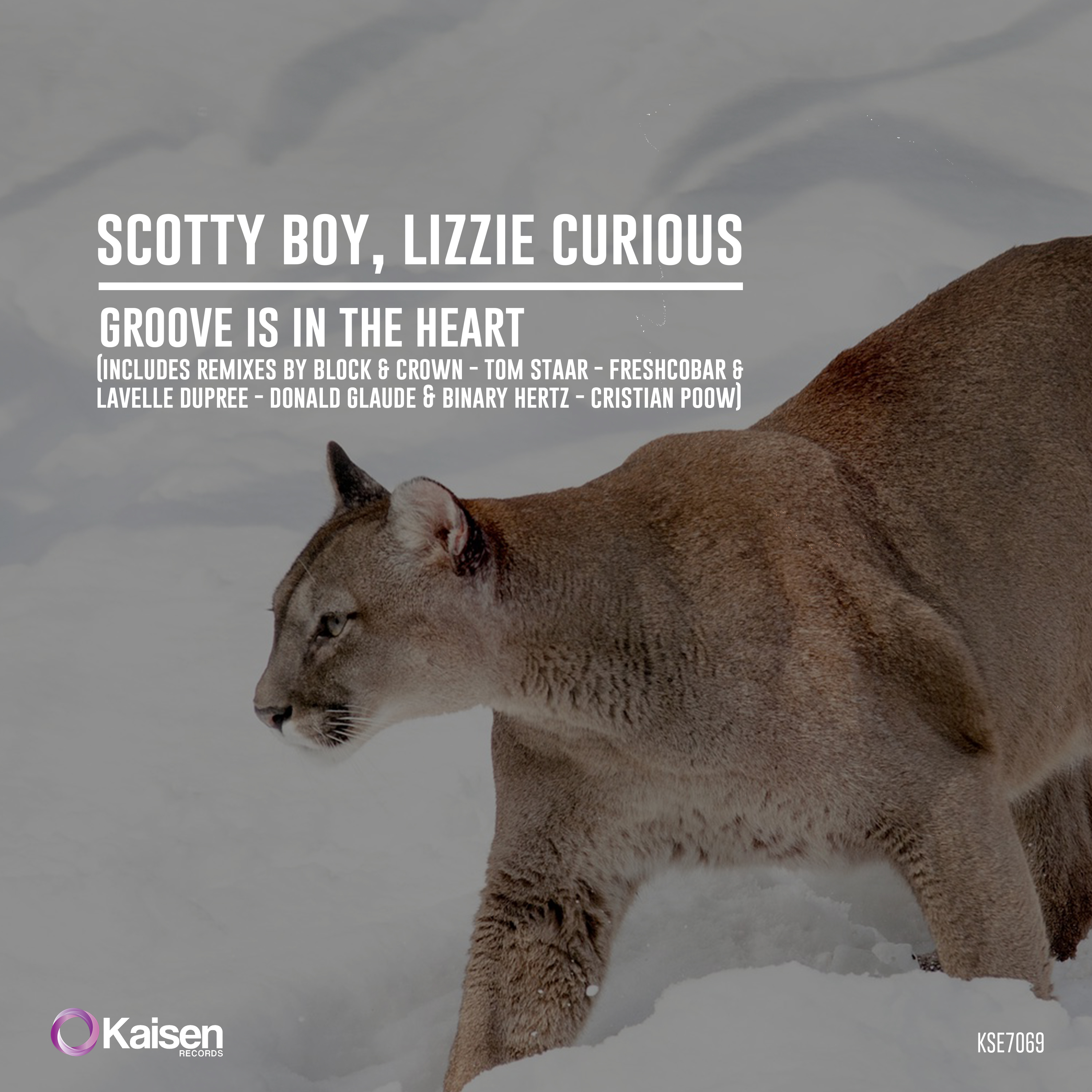 kse7069_lizzie_curious_scotty_boy_groove_is_in_the_heart_3000x3000.jpg