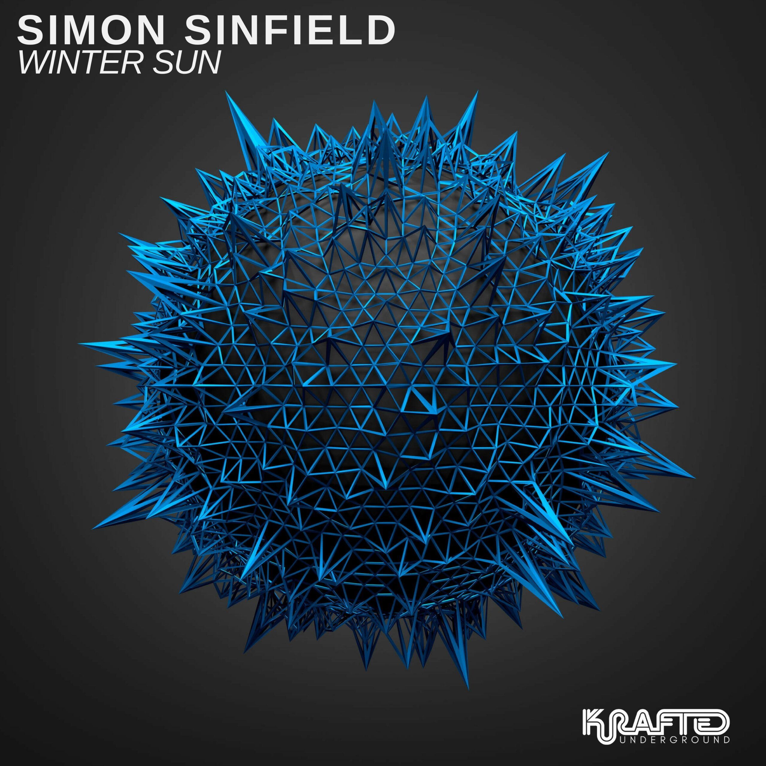 simon_sinfield_-_winter_sun_1.jpg