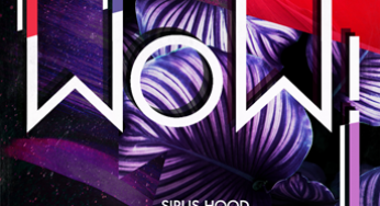 Sirus Hood - Love EP