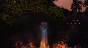 Uji - Jenga