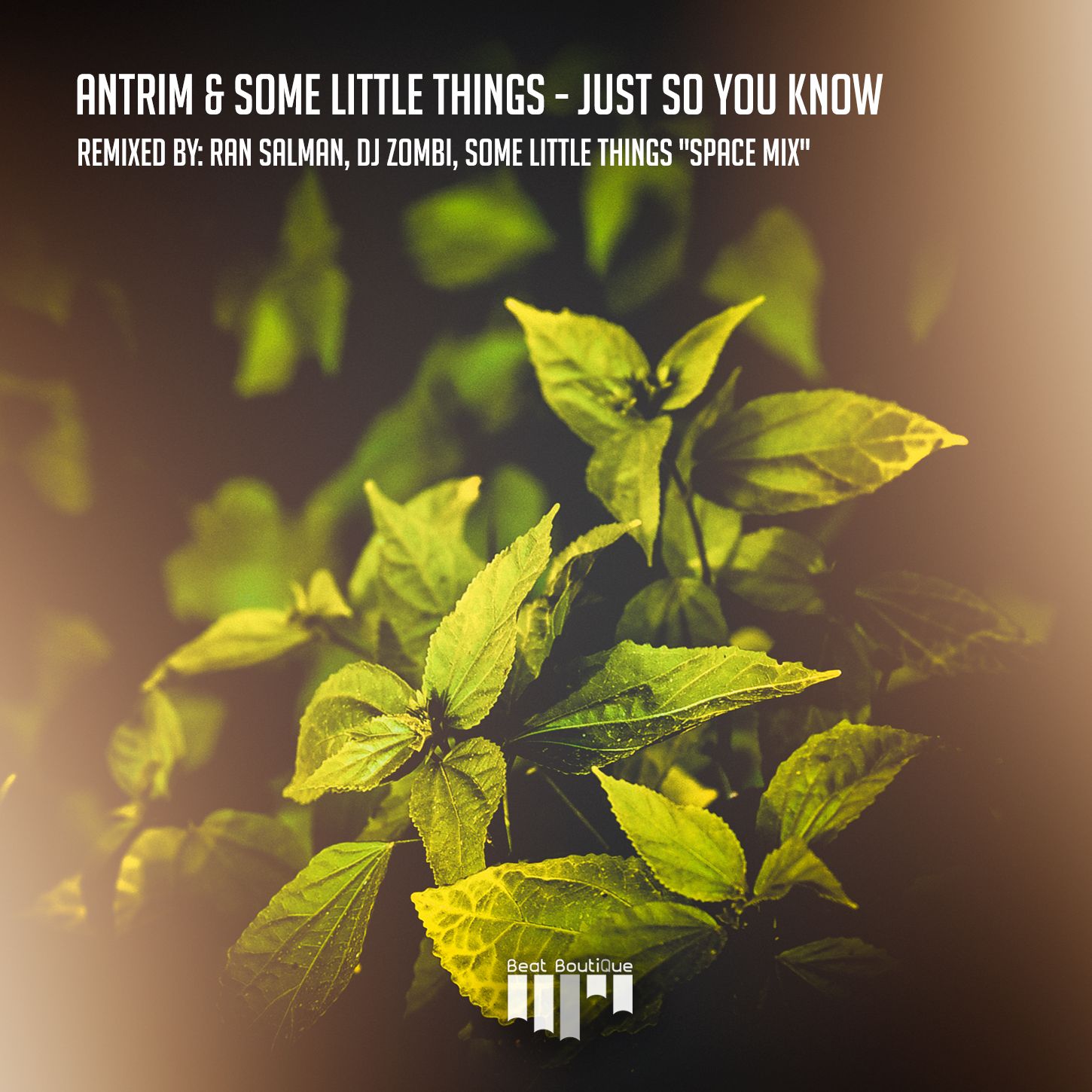 little_things.jpg
