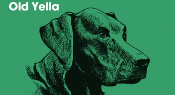 Dennis Ferrer & Skream - Old Yella