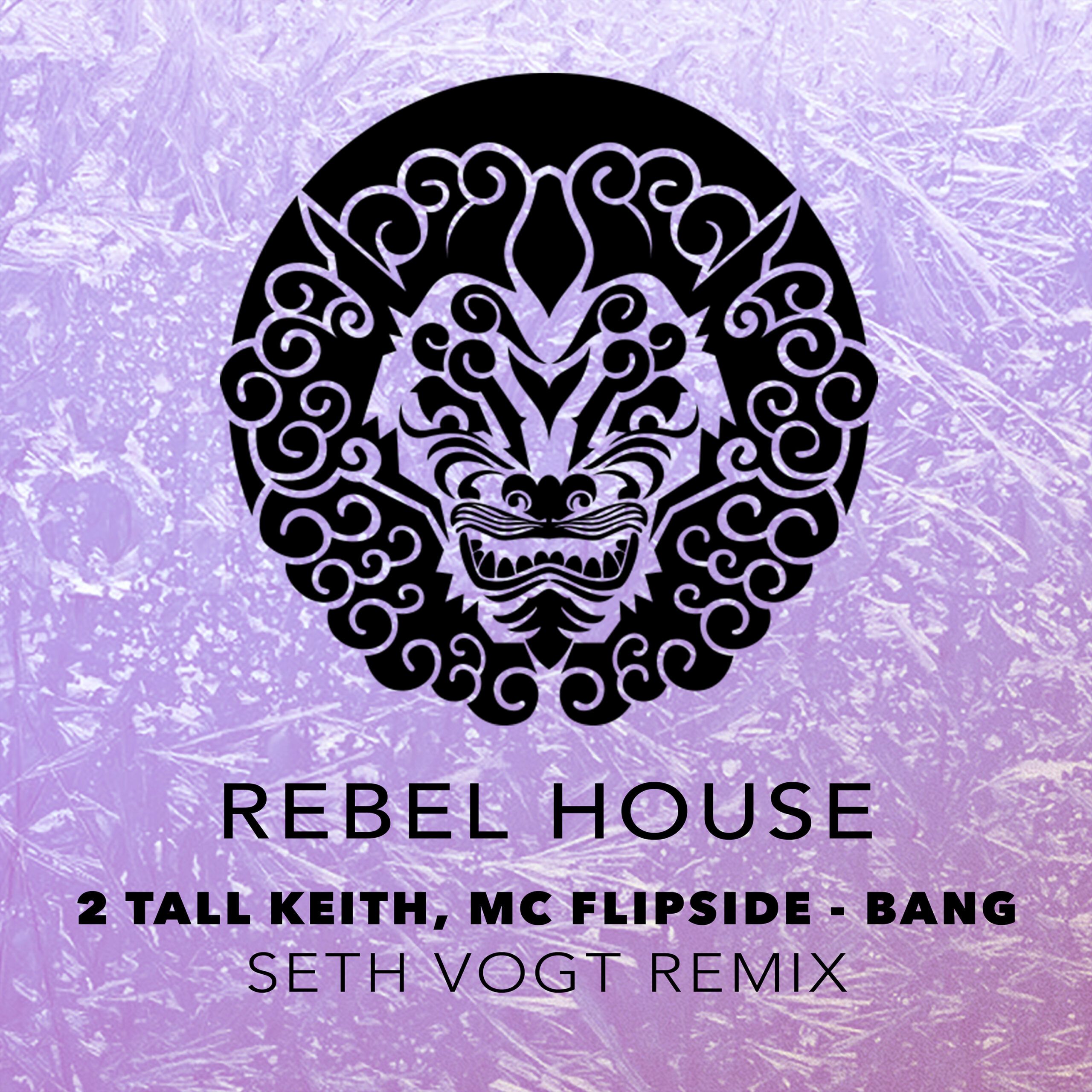 rebel_house_records_bang_seth_remix_3000.jpg