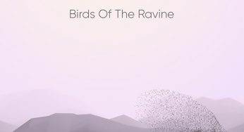 Luka Sambe & Filter Bear - Birds Of The Ravine