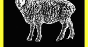 DJ Angelo - Black Sheep EP