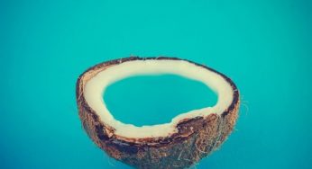 Capo & Comes, Damon Grey - Isla De Coco