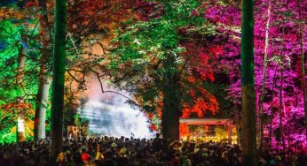 Houghton 2018 final lineup revealed