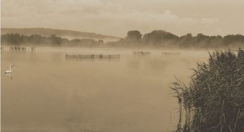 Jarvus - The Lake