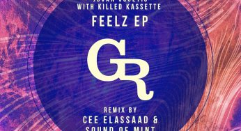 Jovan Vucetic - Feelz EP