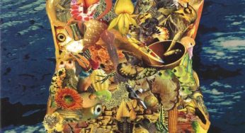 Barabass & The Happy Few - Tumba Rumba